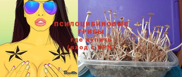 спиды Алзамай