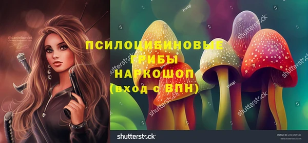 круглые Алексин