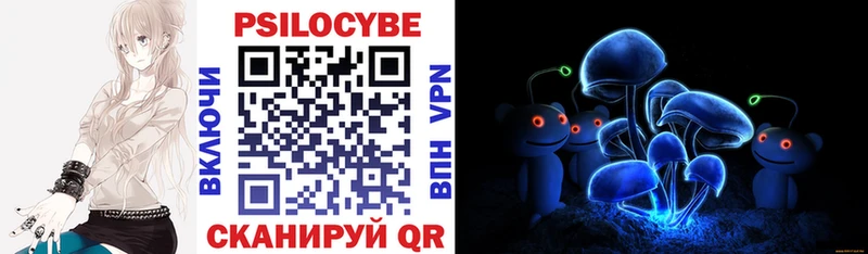 Псилоцибиновые грибы Cubensis  где можно купить наркотик  Заринск 