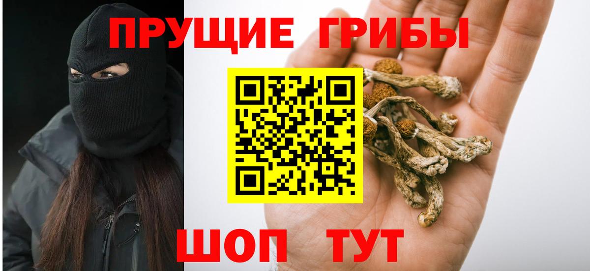 Псилоцибиновые грибы Psilocybine cubensis Заринск